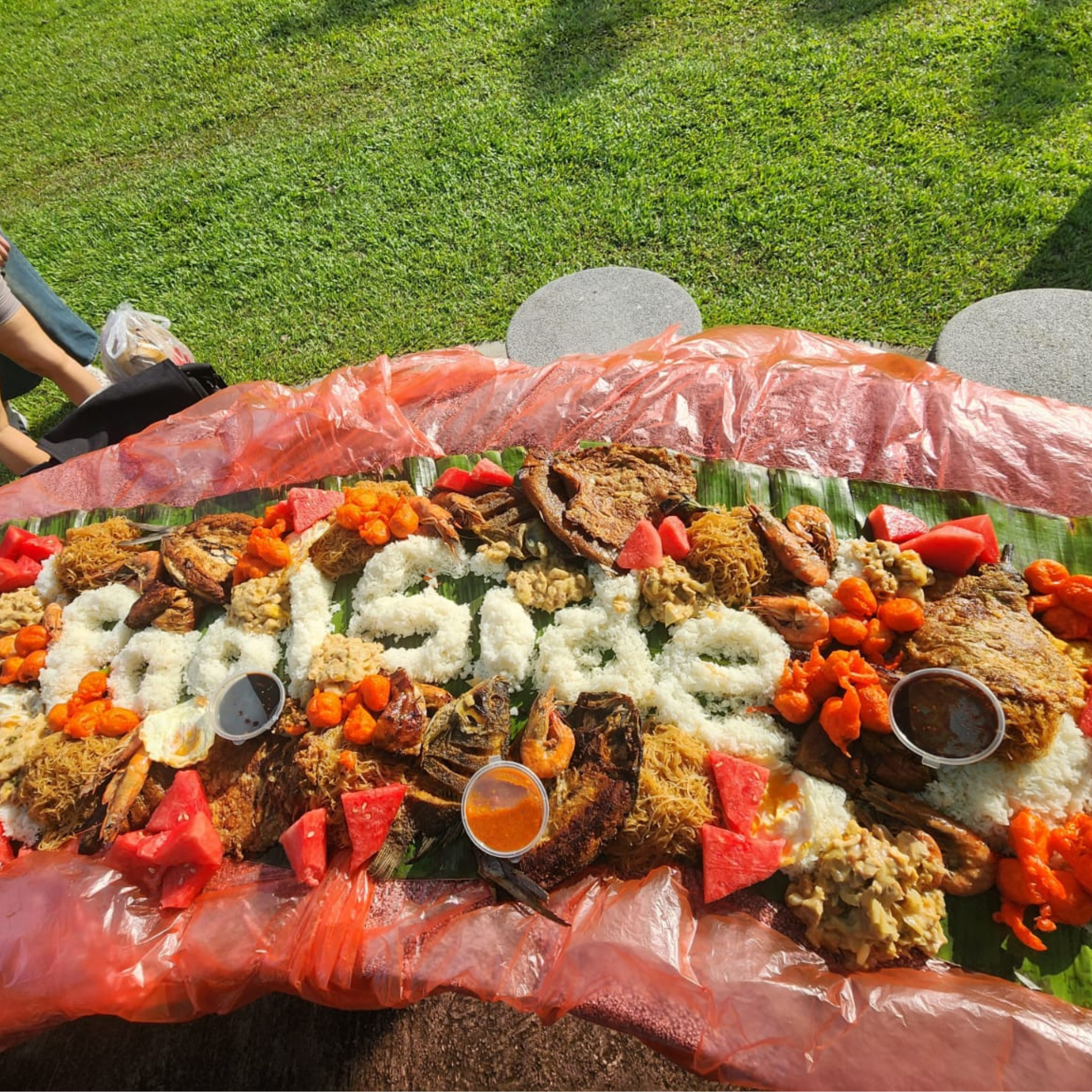 BOODLE FIGHT